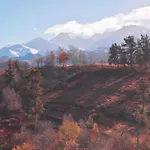 펜션 Pulieru - Picos De Europa Views, Designed For Seasons *